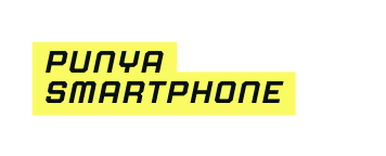 PuNya smartphone